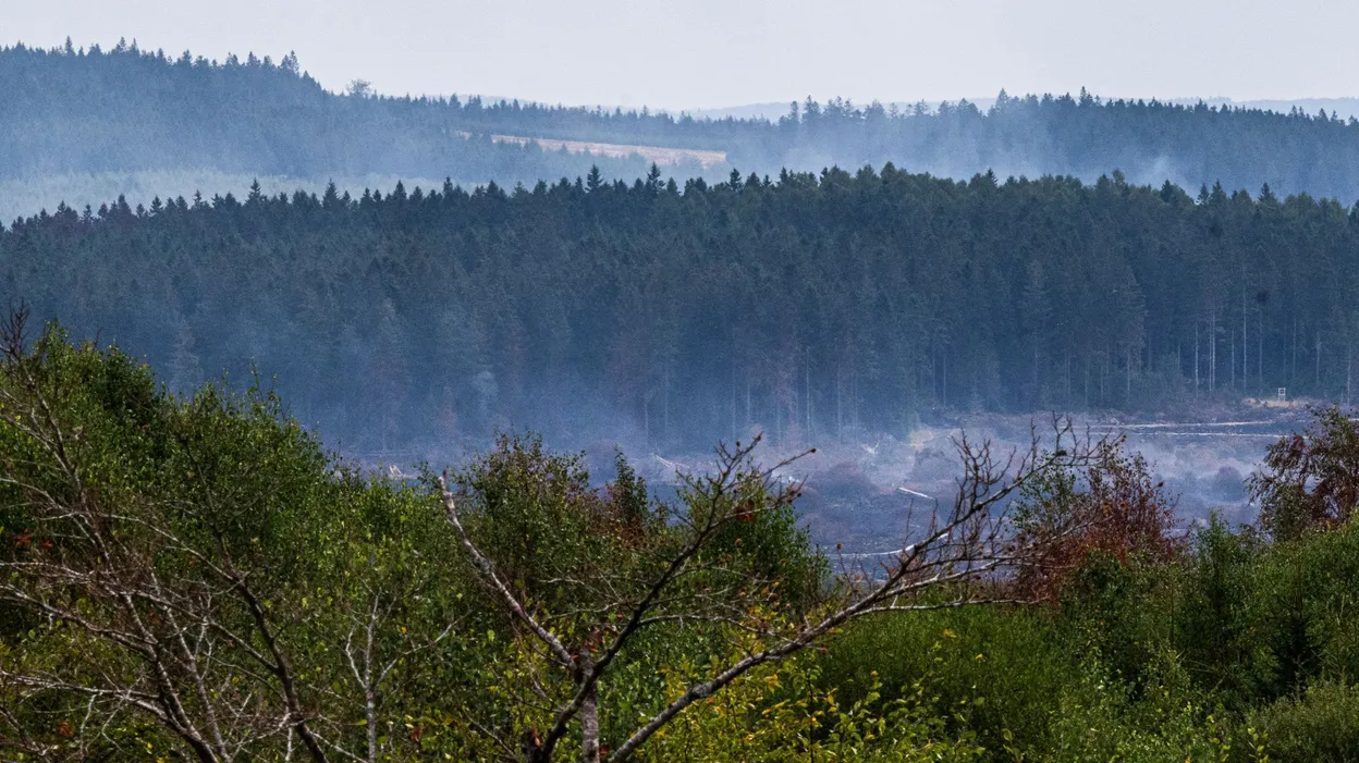 Pourquoi le déni climatique persiste-t-il malgré les vagues de chaleur et d'incendies ?