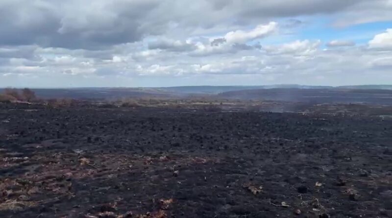 Premières images des paysages des Fagnes après l’incendie (photos et drone)