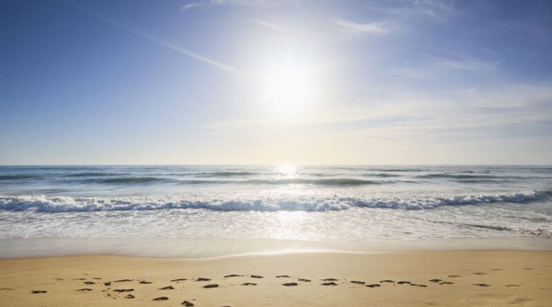 Record de chaleur dans les mers : 22 août, jamais vu auparavant