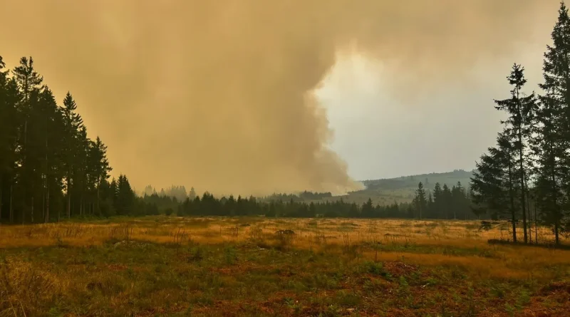 Retour en images sur trois jours d'incendie historique aux Hautes Fagnes