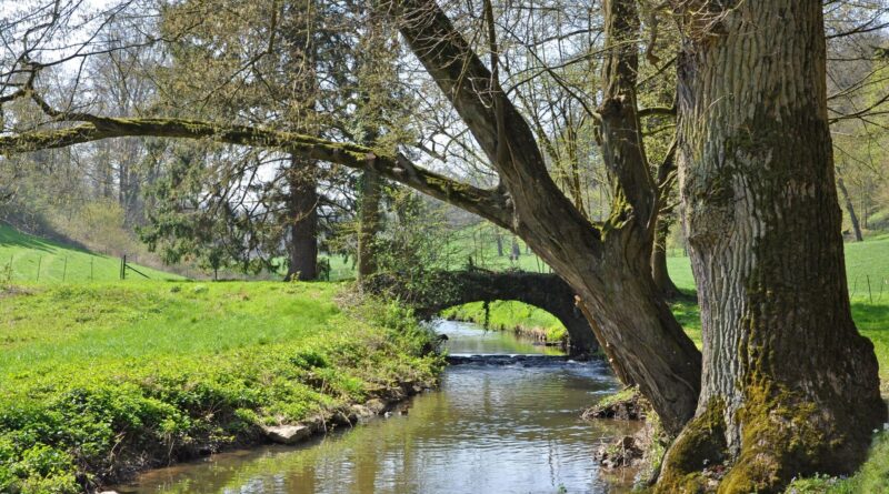 Sécheresse en Belgique et en Europe : Aurore Degré souligne l'importance de conserver l'eau.