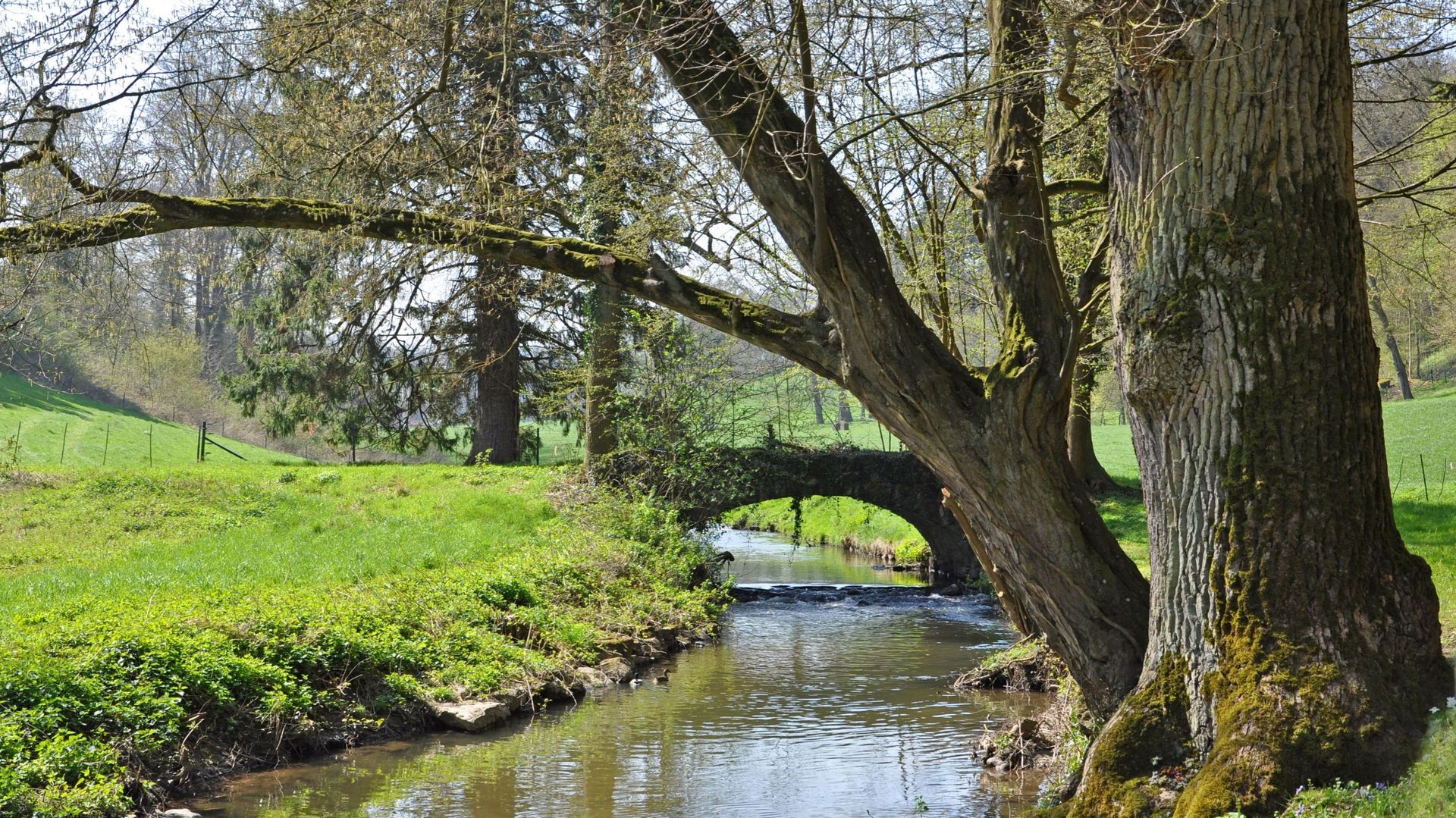 Sécheresse en Belgique et en Europe : Aurore Degré souligne l'importance de conserver l'eau.