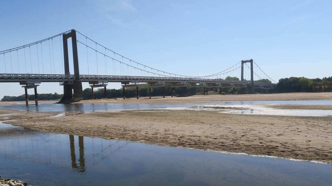 Sécheresse en France : La Loire atteint un seuil critique.