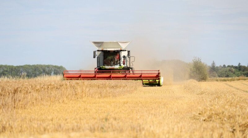 Sécheresse : Les pays menacés par la baisse de production céréalière en France