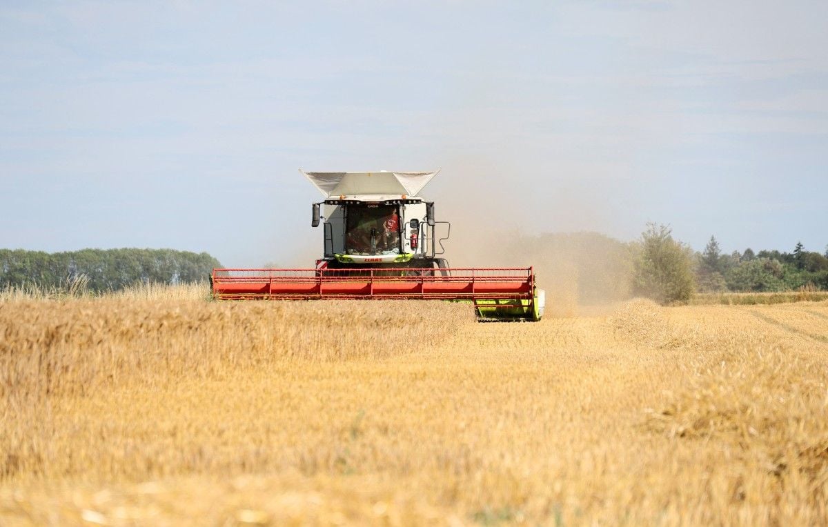 Sécheresse : Les pays menacés par la baisse de production céréalière en France