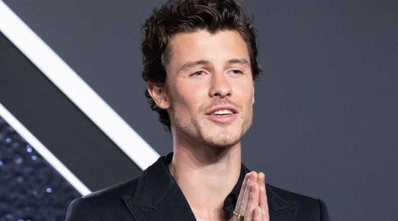 Shawn Mendes confirme sa relation avec Bruna Marquezine.