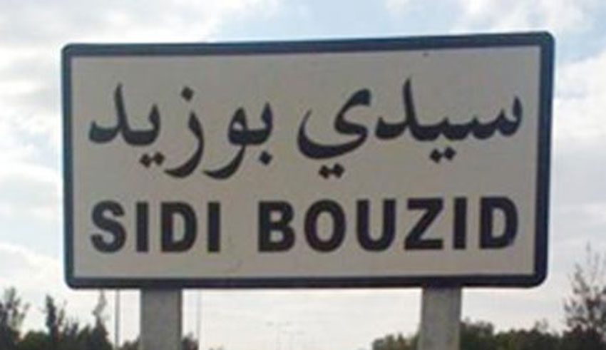 Sidi Bouzid : Plusieurs superficies agricoles endommagées par la vague de chaleur