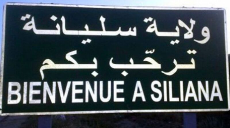 Siliana : la seule piscine privée de la région en pleine activité face à la canicule
