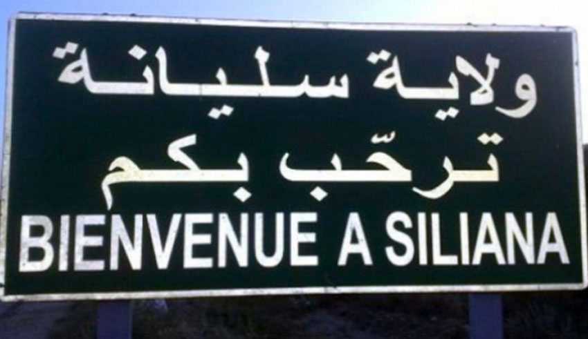 Siliana : la seule piscine privée de la région en pleine activité face à la canicule