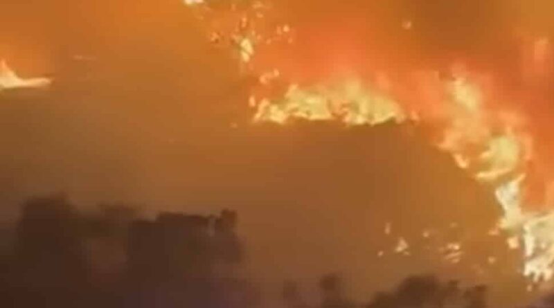 Siliana : vents forts ravivent les incendies au Djebel Boulmane
