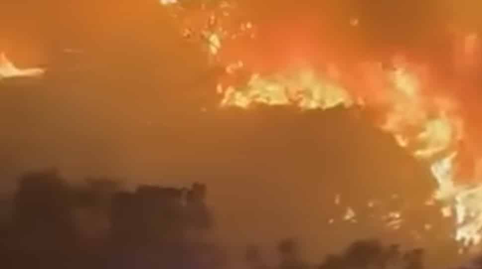 Siliana : vents forts ravivent les incendies au Djebel Boulmane