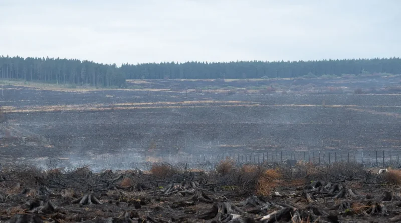 Simon Brunfaut : "L'incendie des Hautes Fagnes a détruit notre mémoire"