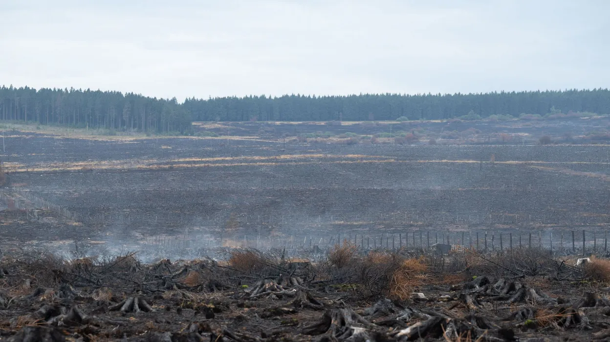 Simon Brunfaut : "L'incendie des Hautes Fagnes a détruit notre mémoire"