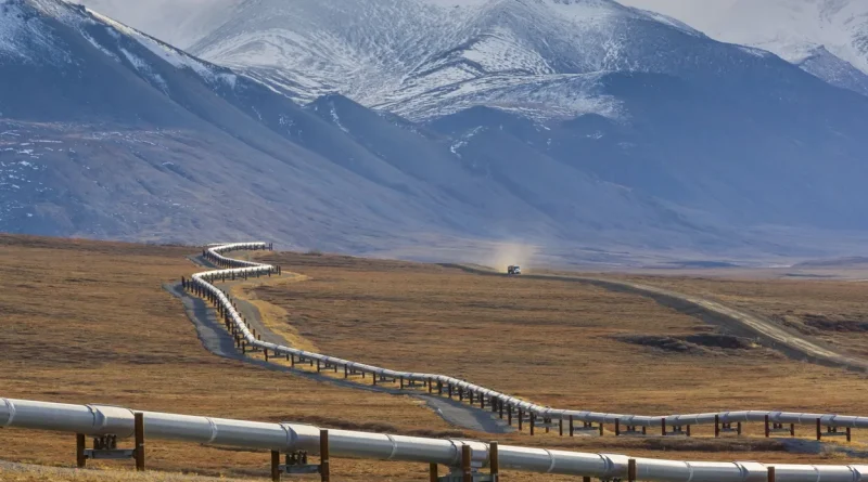 Stocks stratégiques de pétrole : un filet de sécurité en danger