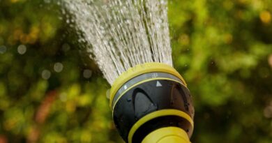 Suisse : Un employé municipal filme arrosage de plantes sous la pluie