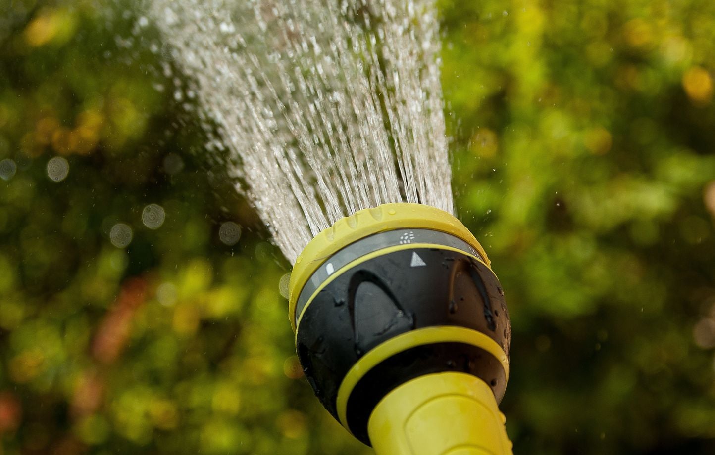 Suisse : Un employé municipal filme arrosage de plantes sous la pluie