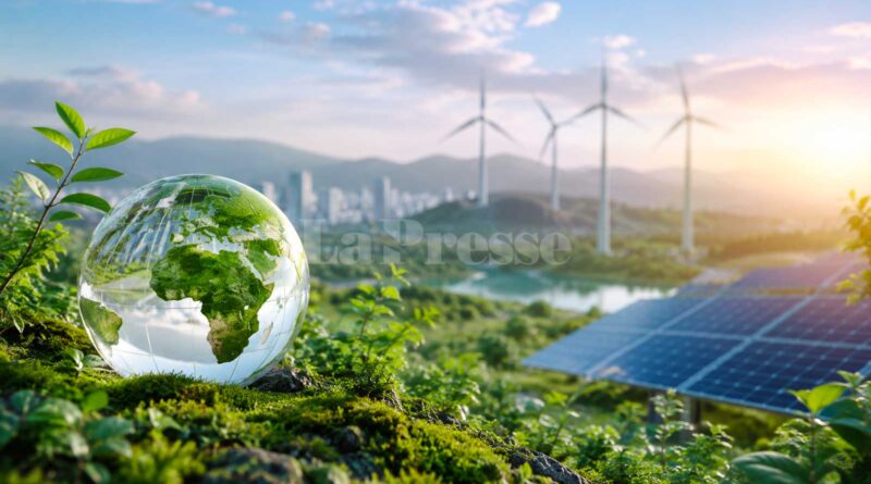 Transition écologique : dix jeunes ont la porte ouverte aux politiques climatiques
