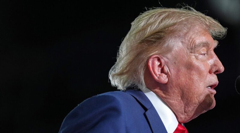 Trump impressionne lors d'une course automobile inédite à Washington