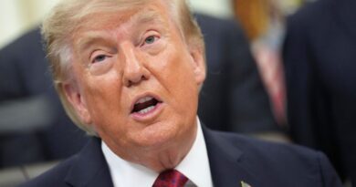 Trump rencontre les patrons du pétrole pour faire baisser les prix aux États-Unis.