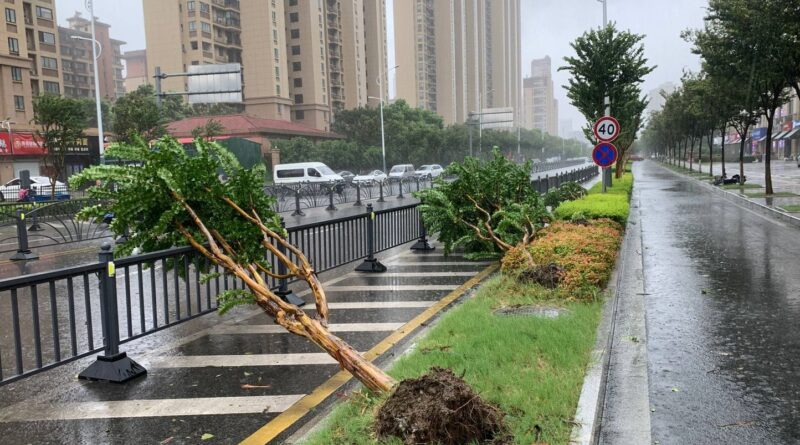 Typhon Dolphin : pluies et vents violents en Chine, est touché