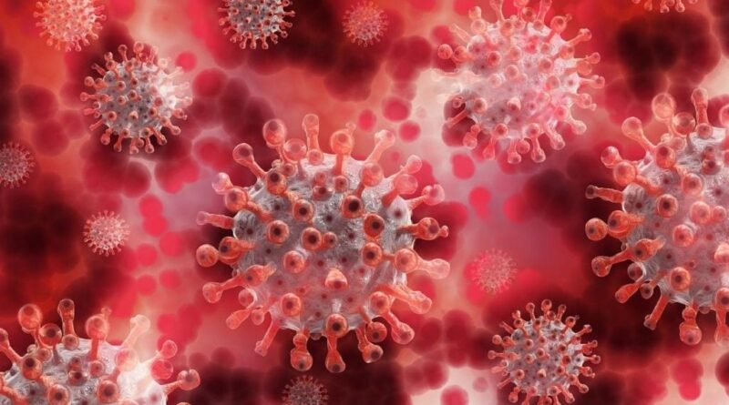 Une IA crée pour la première fois des virus inédits, inoffensifs, par étude génétique.