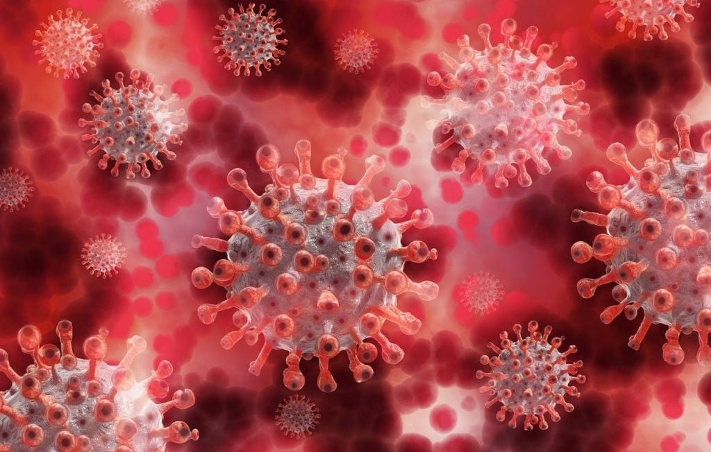 Une IA crée pour la première fois des virus inédits, inoffensifs, par étude génétique.