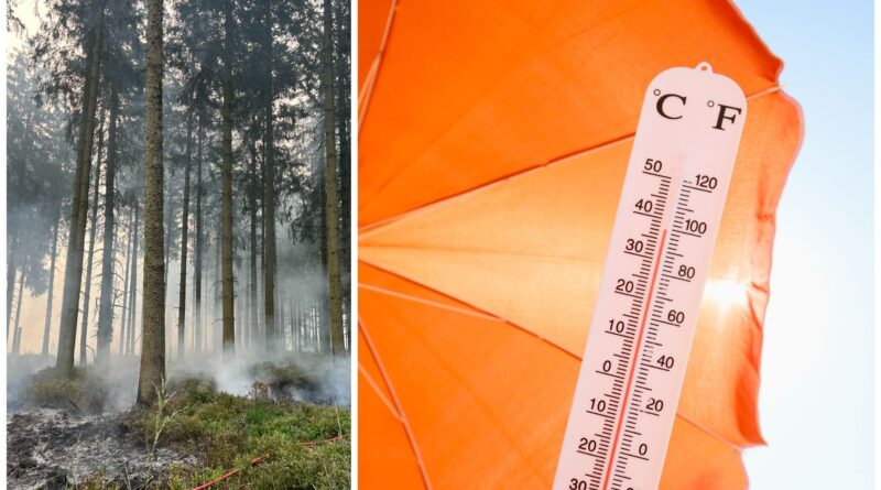 Urgence climatique : les politiques réagissent sans prévenir les crises