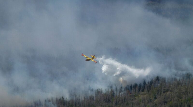 Vaste feu de forêt dans l'ouest du Canada : 20.000 évacués, état d'urgence déclaré