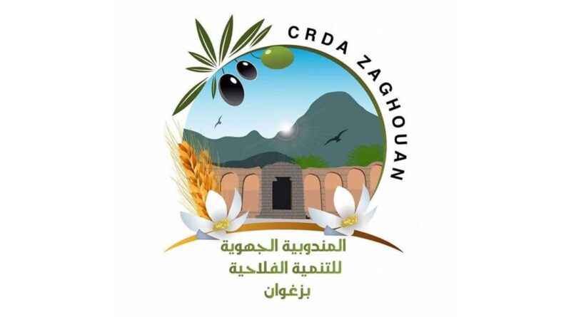 Zaghouan : six moutons morts, la peste des petits ruminants suspectée