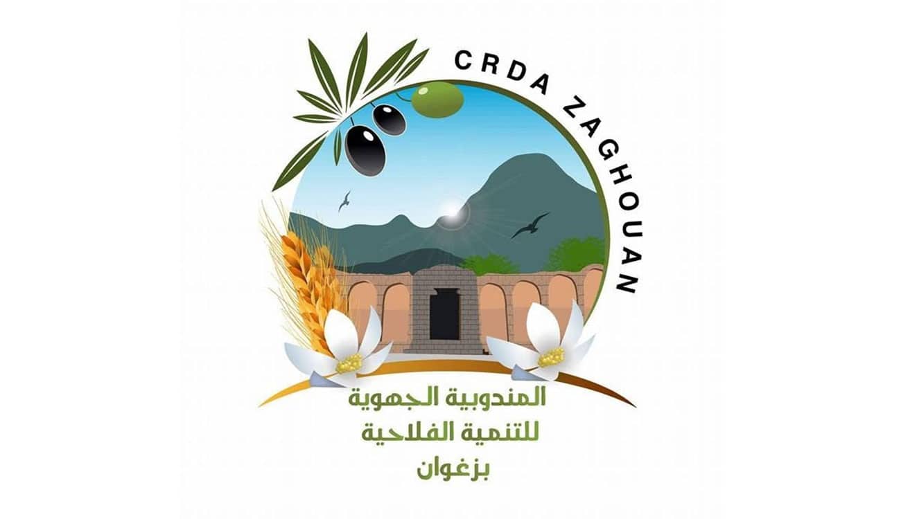 Zaghouan : six moutons morts, la peste des petits ruminants suspectée