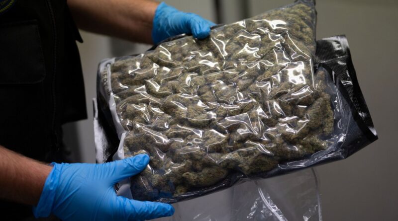 500 kilos de cannabis en provenance du Canada, quatre personnes arrêtées