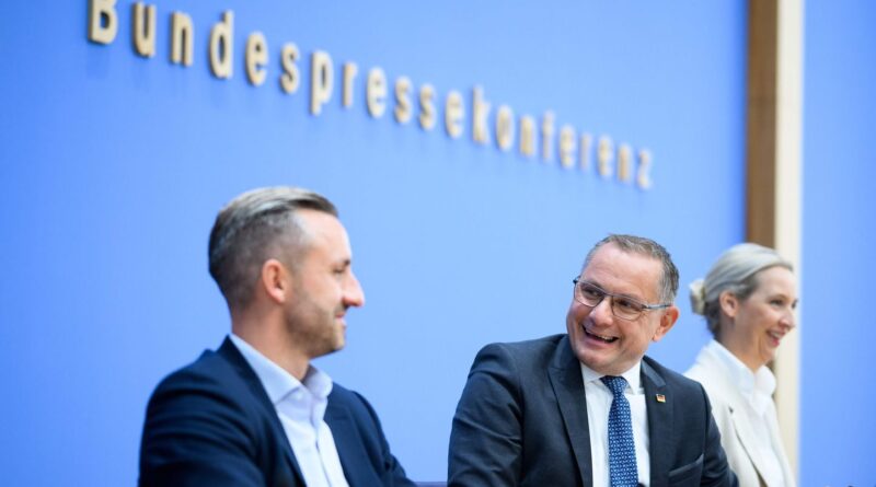 Allemagne : L’AfD négocie pour obtenir la majorité en Saxe-Anhalt