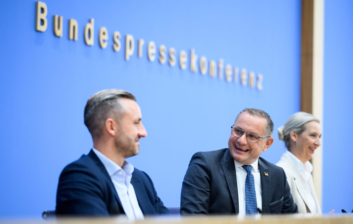 Allemagne : L’AfD négocie pour obtenir la majorité en Saxe-Anhalt