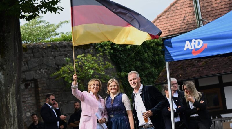 Allemagne : L'AfD peut-elle toujours être qualifiée de « néonazi » ?