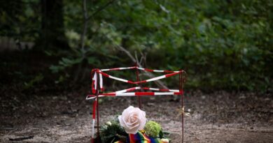 Attentat de la Pride de Berlin : « De graves dégâts » sur l'arbre commémoratif