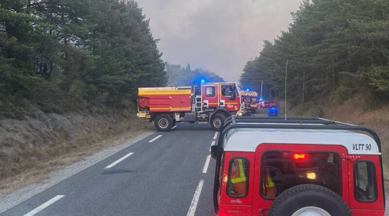 Aude : L'incendie de Puilaurens a ravagé 225 hectares, toujours pas fixé.