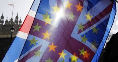 Brexit : Un Britannique expulsé de Suède après 24 ans lutte pour sa femme