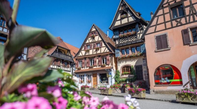 Canicule et sécheresse : comment garder villes et villages fleuris malgré le manque d’eau
