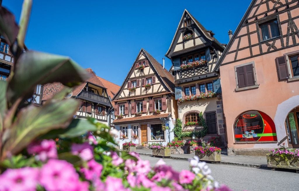 Canicule et sécheresse : comment garder villes et villages fleuris malgré le manque d’eau