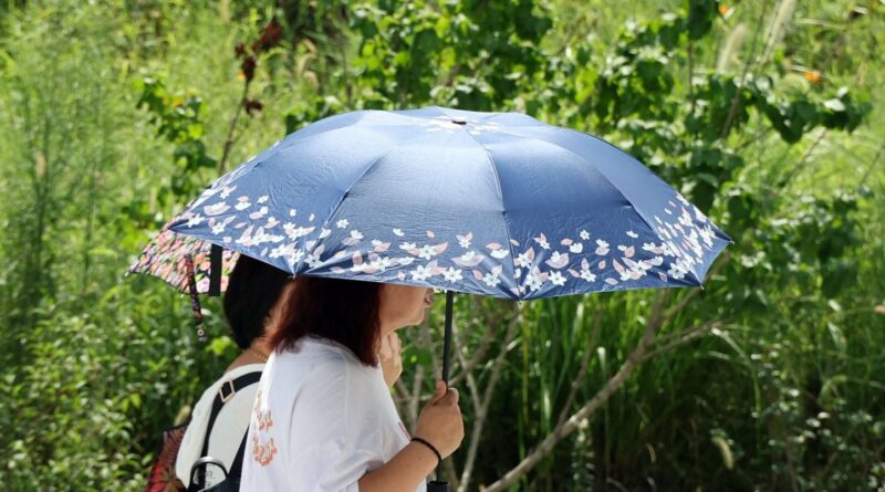 Canicule : Six départements du sud-est en alerte orange jusqu’à 39 °C