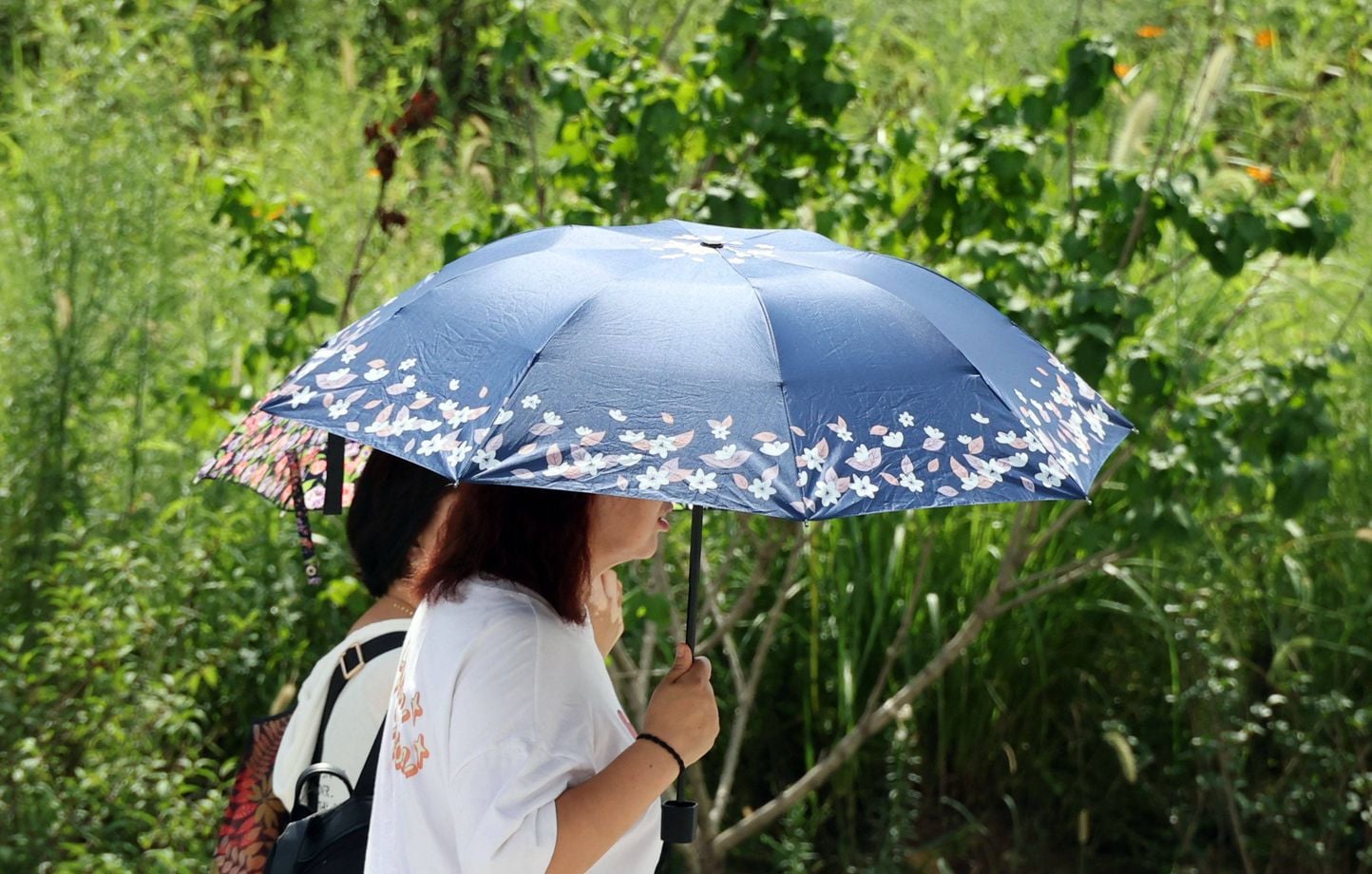 Canicule : Six départements du sud-est en alerte orange jusqu’à 39 °C