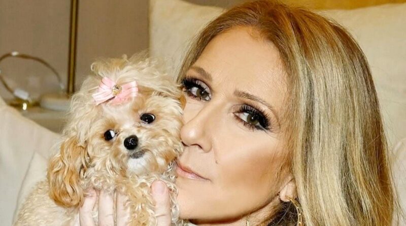 Céline Dion présente Madison, son nouveau chien, à Paris.