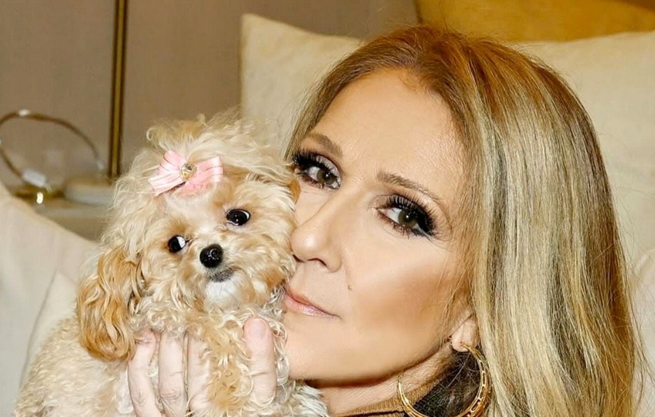 Céline Dion présente Madison, son nouveau chien, à Paris.