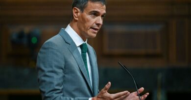 Crise migratoire à Ceuta : « Pedro Sanchez ne peut pas risquer l'isolement »
