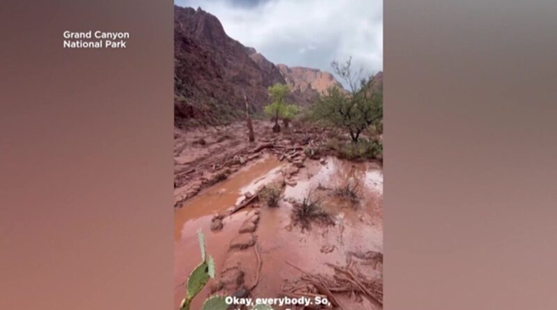 Crue soudaine dans le Grand Canyon : deux morts, recherches en cours