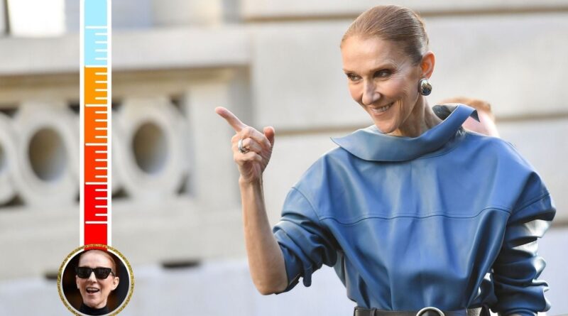 Dionomètre : J-5 avant le concert de Céline Dion, théories du complot émergent