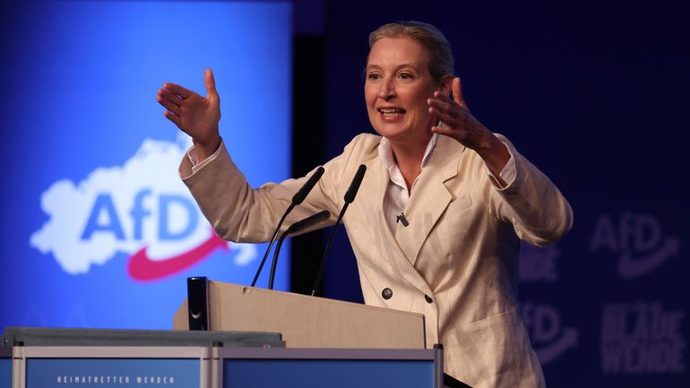 Élections régionales en Allemagne : l’AfD progresse fortement à Berlin et en Mecklembourg-Poméranie
