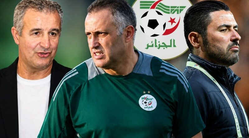 Équipe d'Algérie : Brahim Hemdani "sélectionneur", mais pas encore confirmé.