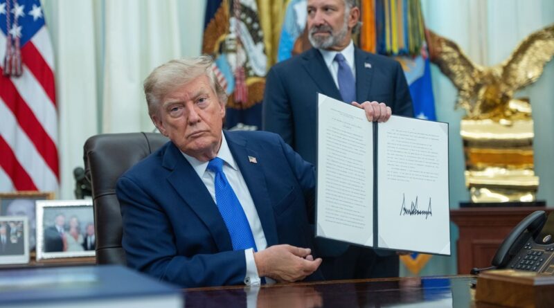 Etats-Unis : Le « tourisme de naissance » que Donald Trump veut interdire.