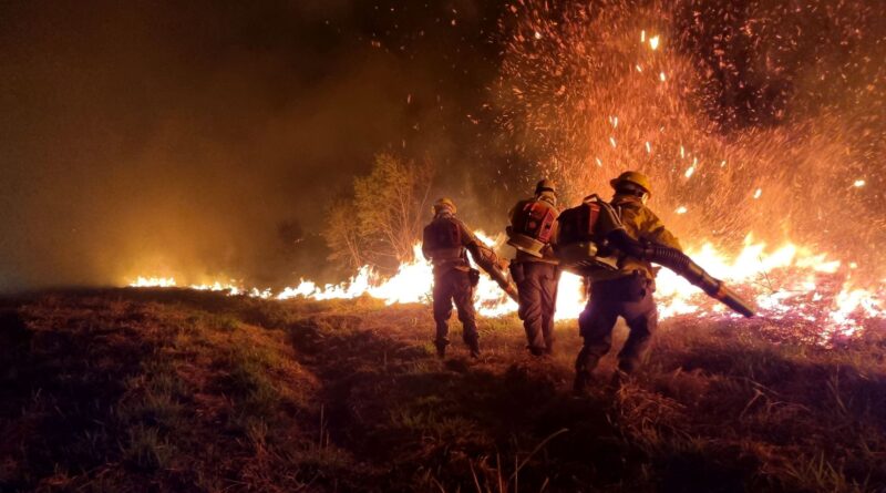 Feux de forêt : Flandre, Pays-Bas et Allemagne renforcent leur coopération contre les incendies.